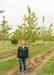 Native Hackberry in the nursery with a person standing nearby to show its height. The person's shoulder is just below the lowest branch.