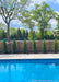 View of a backyard blue pool with a row of Emerald Green Arborvitae tree planted in front of the fence line for additional privacy and screening.