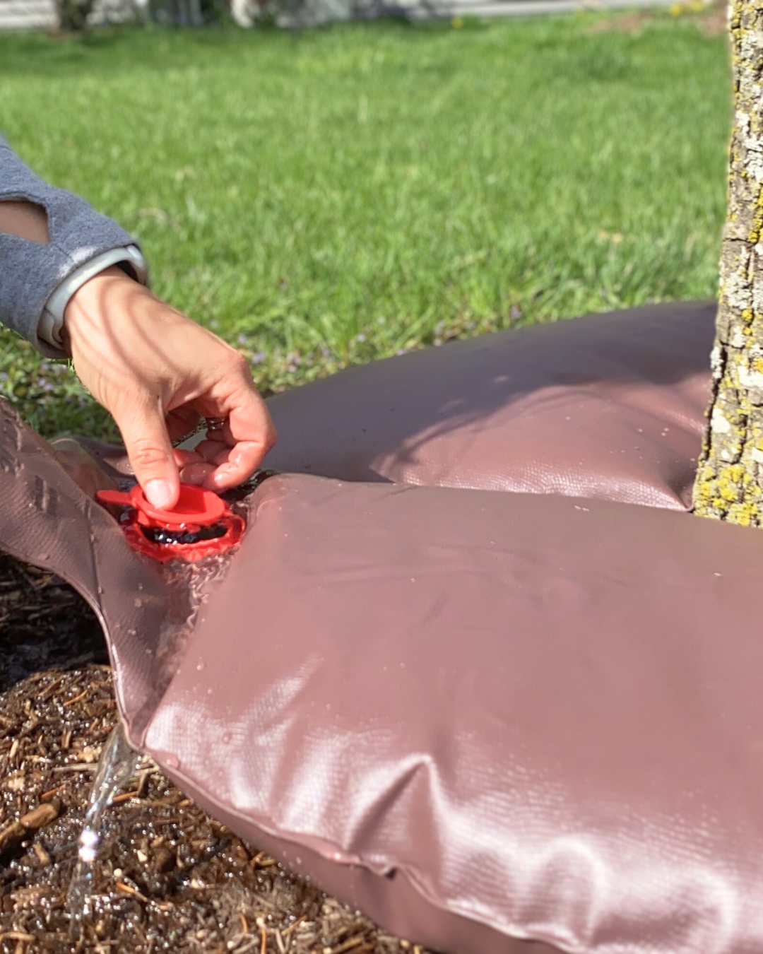 A slow release watering bag being sealed up after it's been filled.