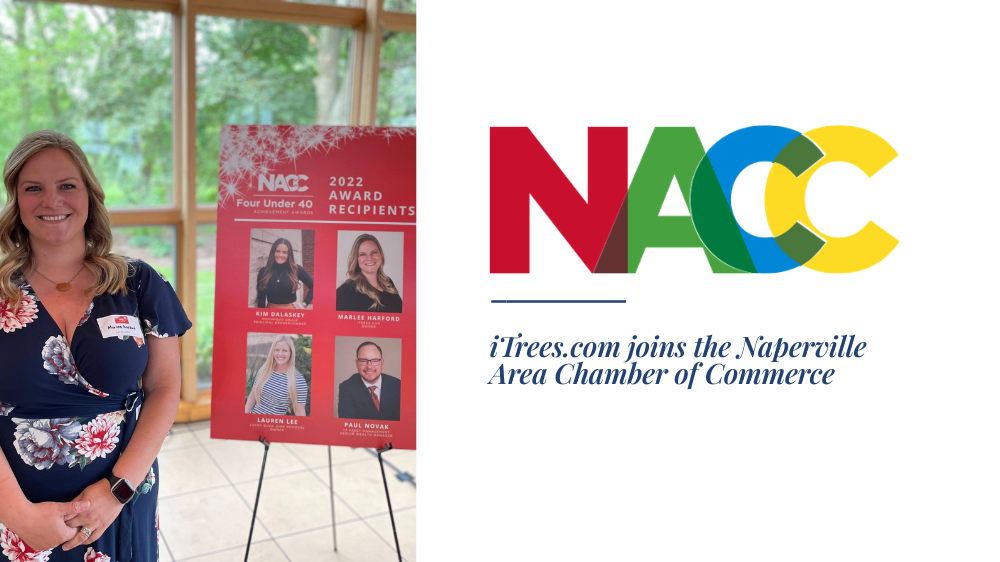 Marlee at the 40 Under 40 Ceremony. "iTrees.com Joins the Naperville Area Chamber of Commerce."