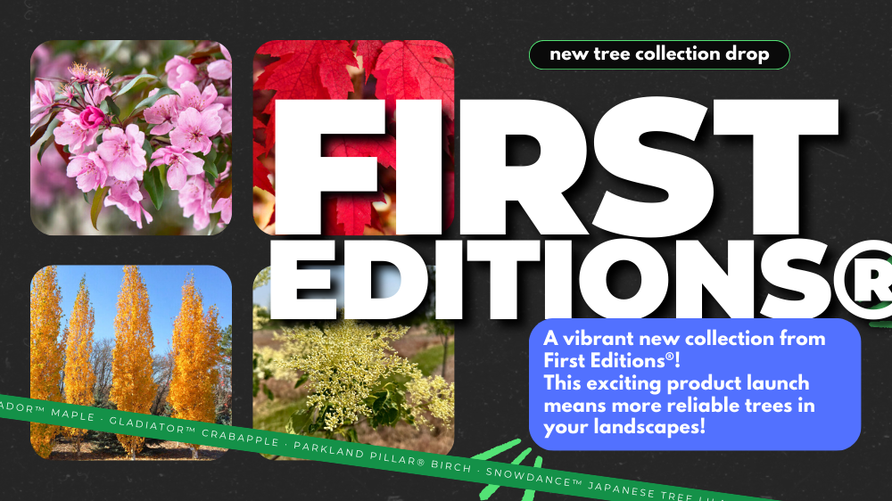 First Editions® A vibrant new collection from First Editions®! This exciting product launch means more reliable trees in your landscapes! with a collage of images showing the trees in the collection.
