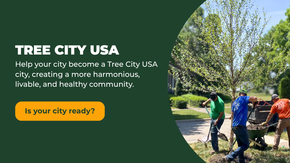 The itrees.com crew plants a birch on a parkway, text reads, "TREE CITY USA Help your city become a Tree City USA city, creating a more harmonious, livable, and healthy community. Is your city ready?"