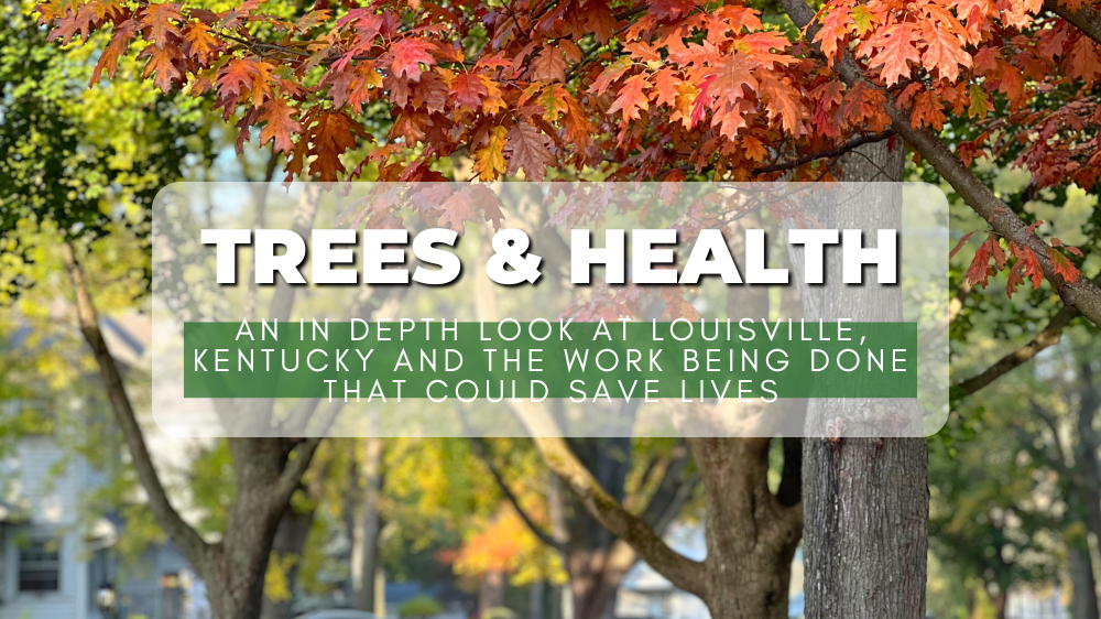 Trees & Health: An In Depth Look into the Work Being Done That Could Save Lives