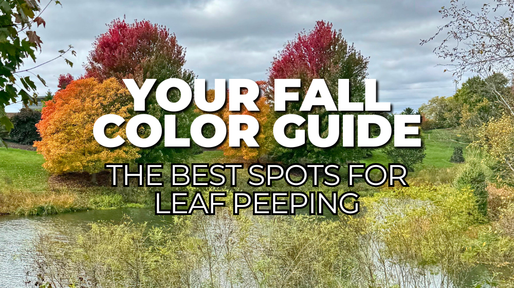 Chicago Botanic Garden in fall with text overlay that reads, "Your fall color guide: the best spots for leaf peeping"