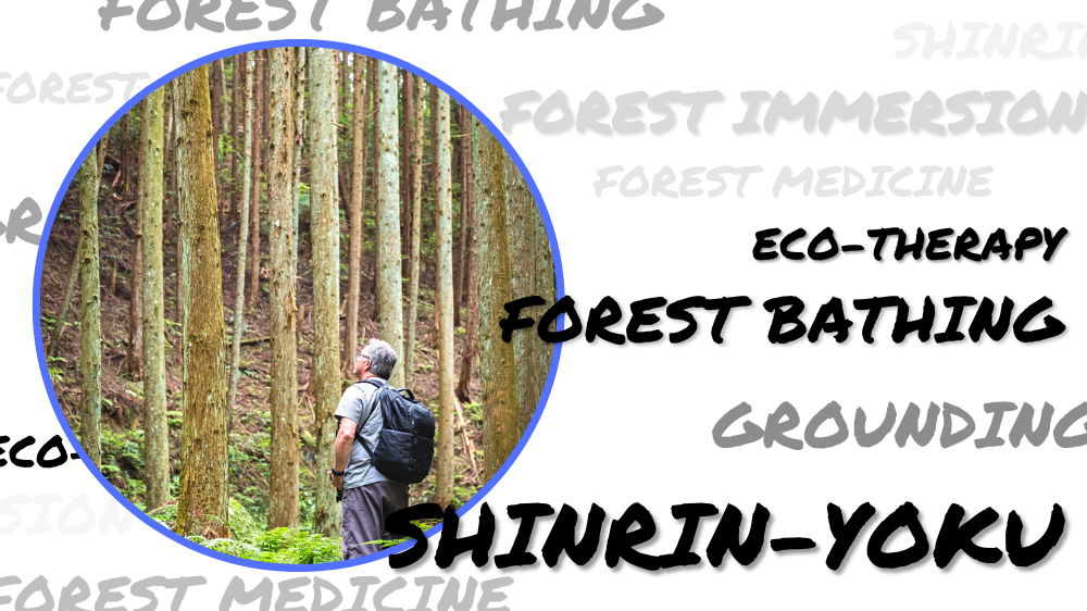 A man looking up at trees surrounded by words used to describe forest bathing