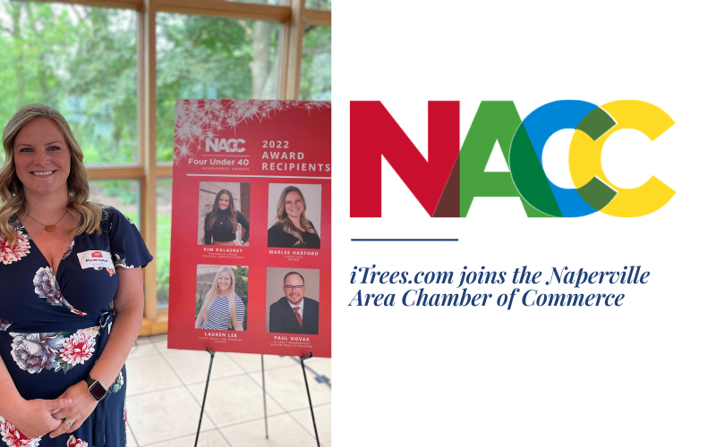 Marlee at the 40 Under 40 Ceremony. "iTrees.com Joins the Naperville Area Chamber of Commerce."
