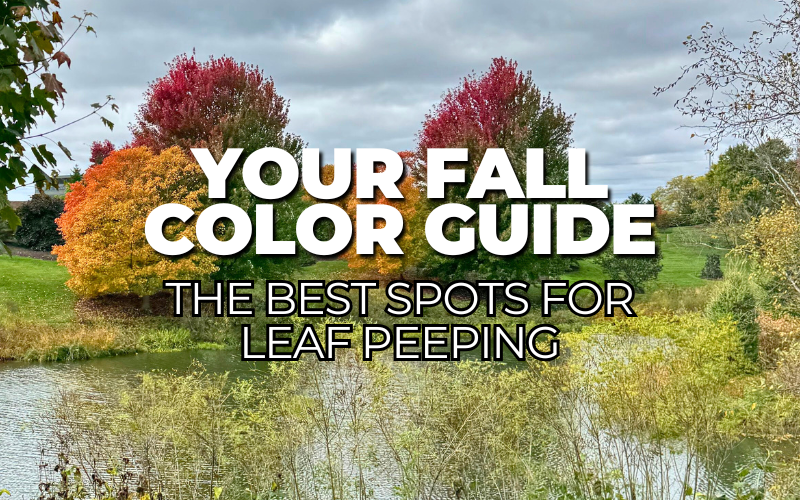 Chicago Botanic Garden in fall with text overlay that reads, "Your fall color guide: the best spots for leaf peeping"