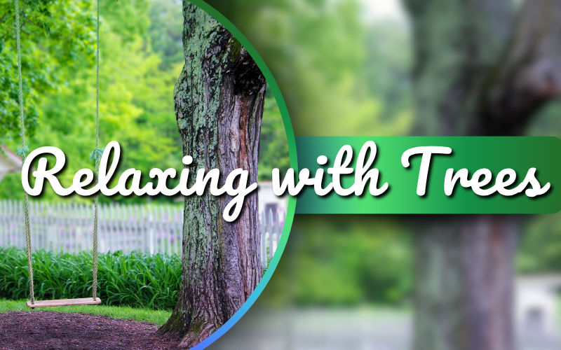 Relax with Trees: A tree with a swing attached to a branch.