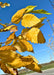 Closeup of bright, yellow-gold leaves with serrated edges.