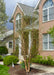 Newly planted Heritage River Birch in a front yard near a driveway.