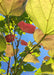 Closeup of the underside of purple and green leaves with sunlight filtering through.