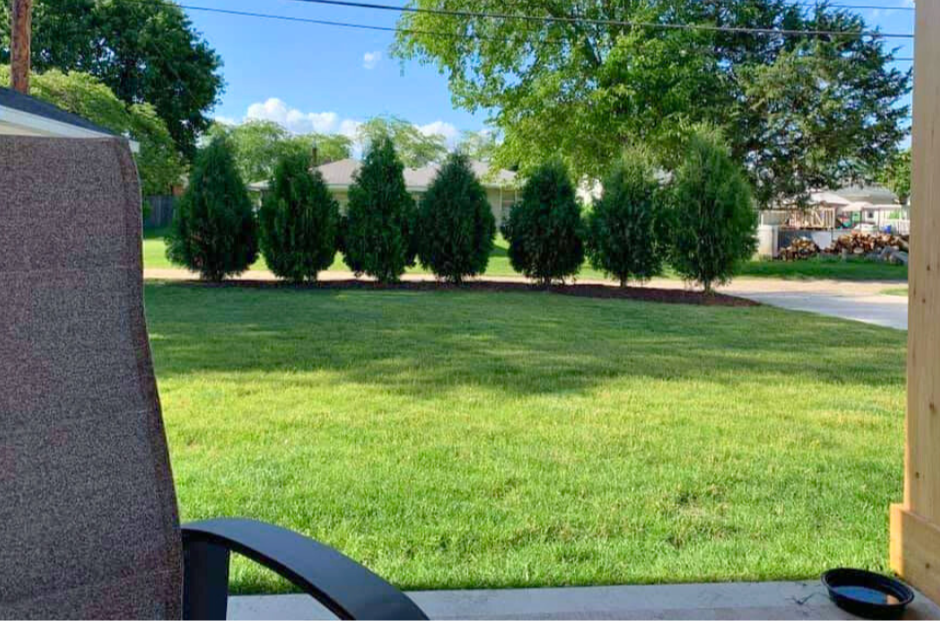 A newly planted row of Techny Arborvitae trees planted along a back driveway and alley for added screening to a backyard porch.