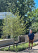 A newly planted Golden Raindrops Crabapple at Chicago Botanic Garden, with newly emerging small green leaves, with Jamie from SGN Trees standing nearby. 