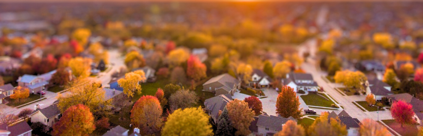 An aerial view of a neighborhood, showcasing their mature canopy of trees showing off fall color.