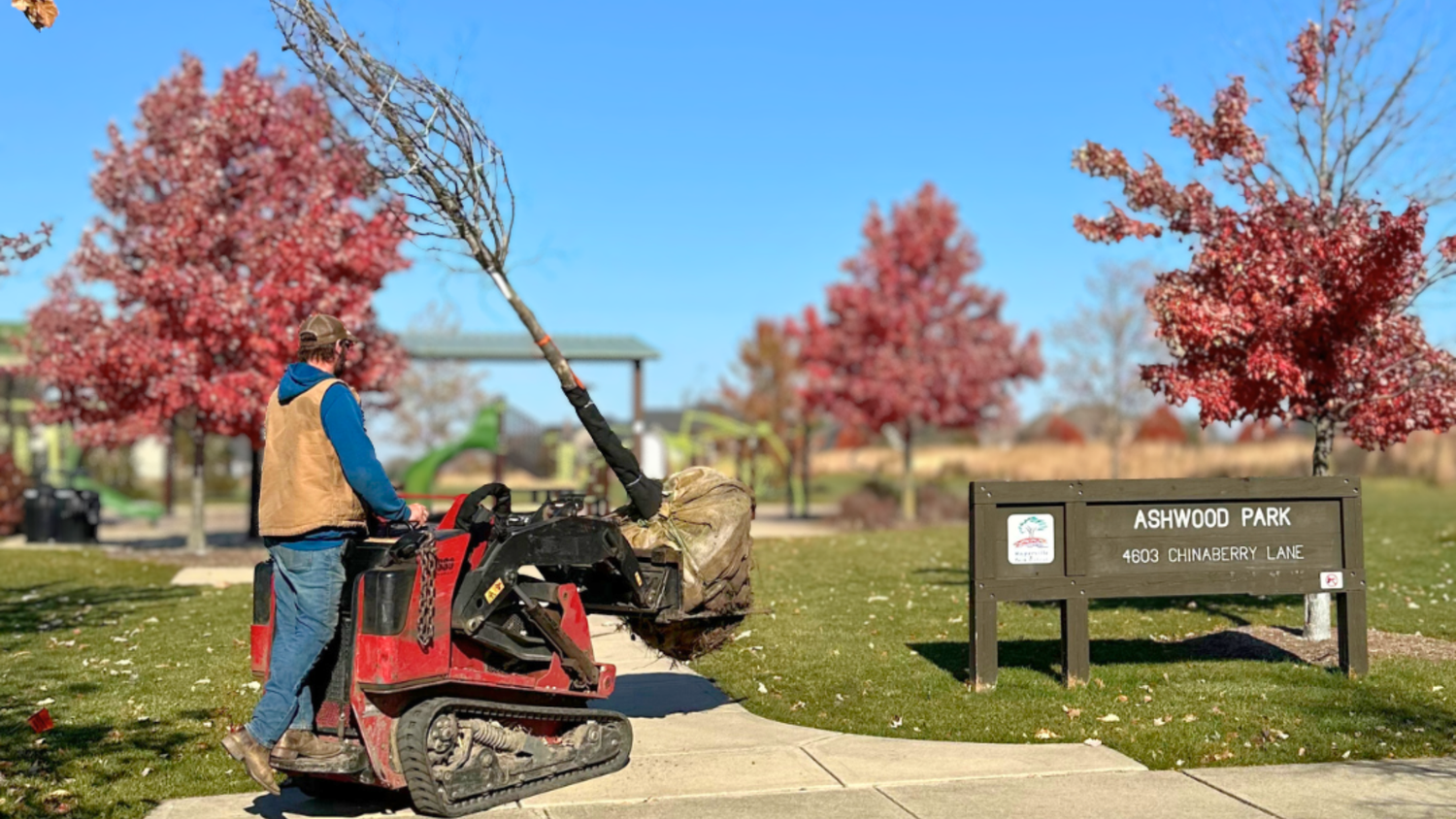 Growing Strong Canopies