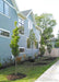 A newly planted row of Crimson Spire Oak planted along a sidewalk and the side of a house for privacy and screening.