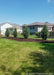 A row of newly planted Techny Arborvitae planted in a backyard berm.