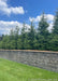 Green Giant Arborvitae planted in a row within a mulched retaining wall landscape bed.