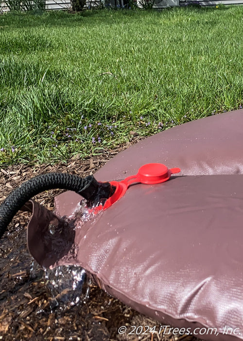 A hose filling up a treegator.