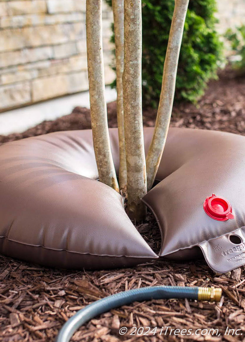 Cross selling products