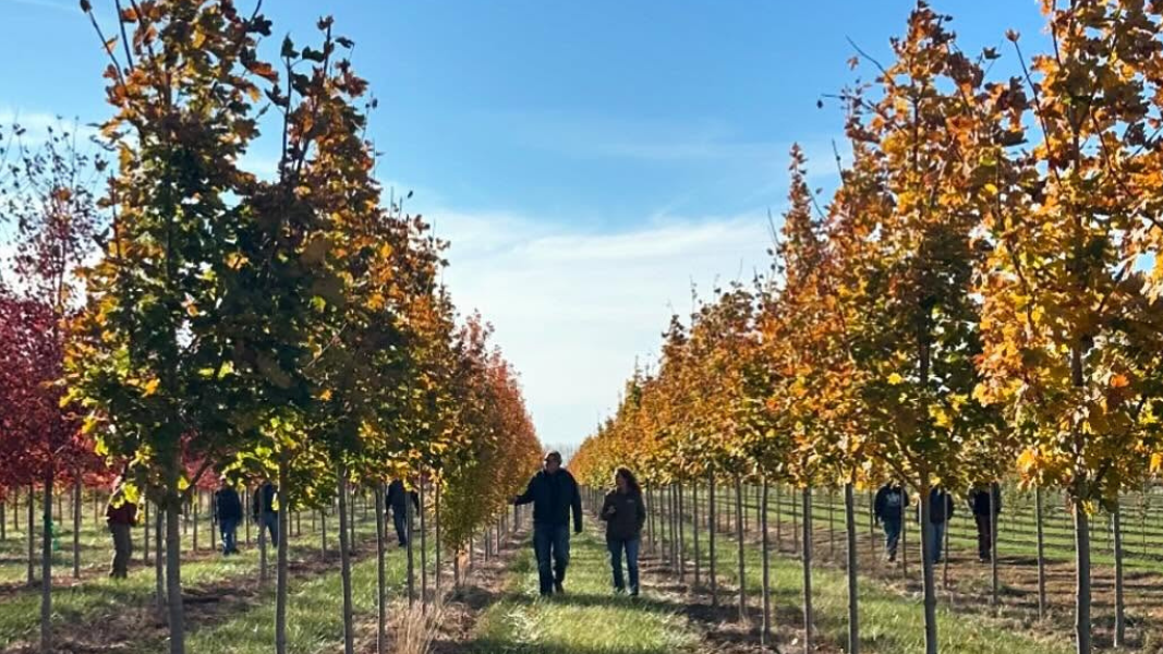 Respected Nursery Relationships