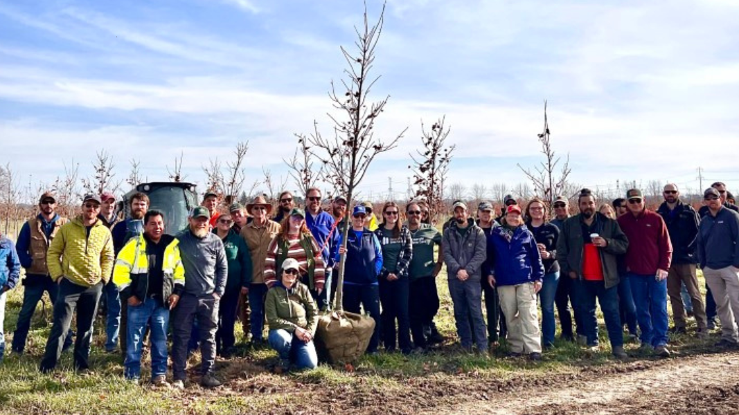 Creating Strong Relationships