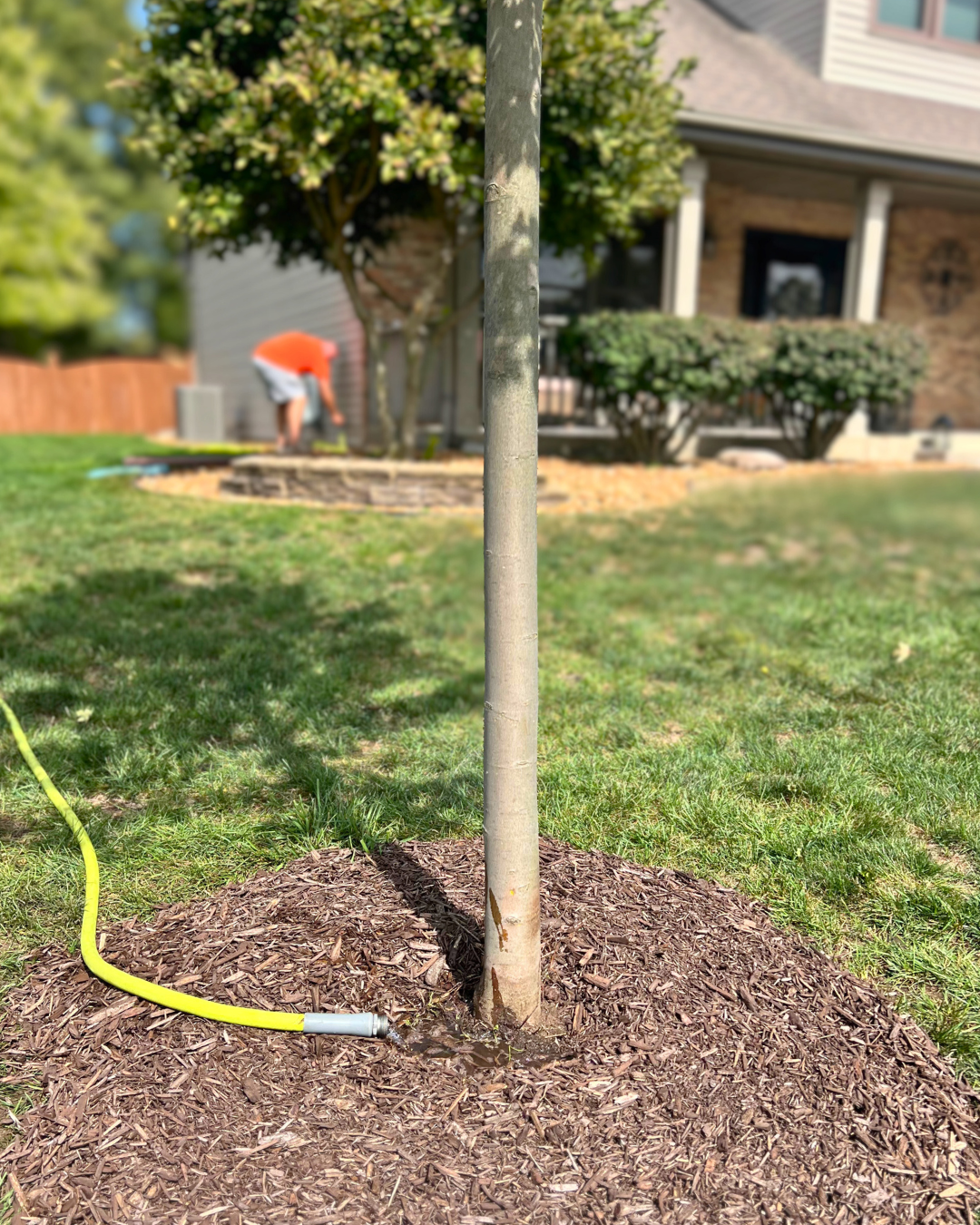 Follow the 1-1-1 Rule